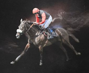 Stayers Hurdle Imagery