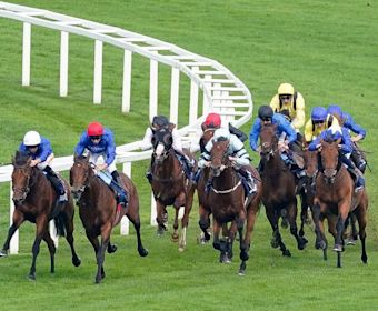 Epsom Derby AYNTK