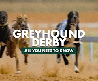 greyhound derby