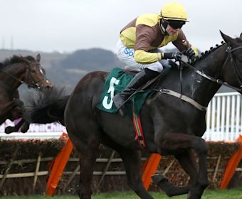 Gold Cup Winners Imagery