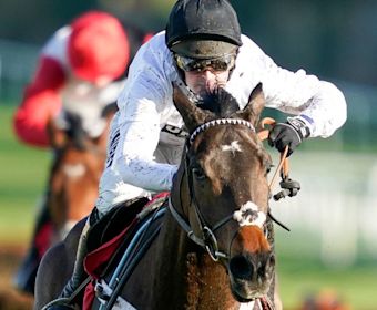 Stayers' Hurdle